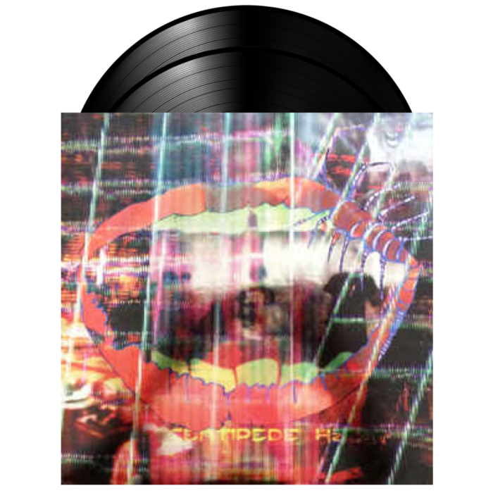 Animal Collective | Centipede Hz 2xLP Vinyl Record | Popcultcha