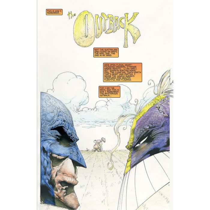 Batman / The Maxx - Arkham Dreams Hardcover Book by IDW Publishing |  Popcultcha