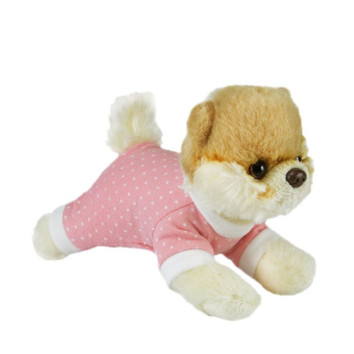 Itty bitty boo real dog hotsell