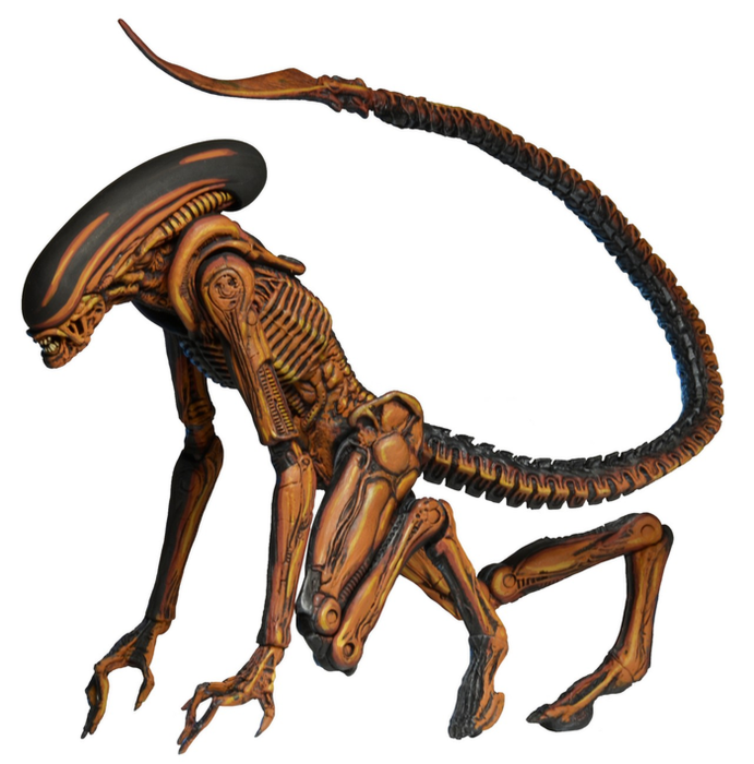 neca dog alien