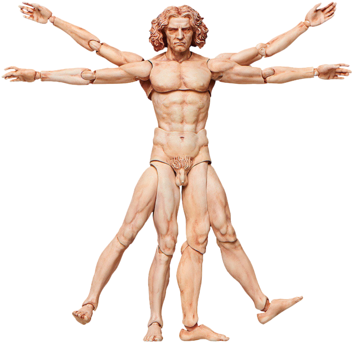 Figma vitruvian top
