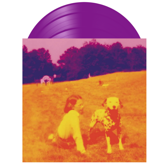 Eels - Blinking Lights Other Revelations 3xLP Vinyl Record (Purple Coloured Vinyl) by Play It Again Sam |