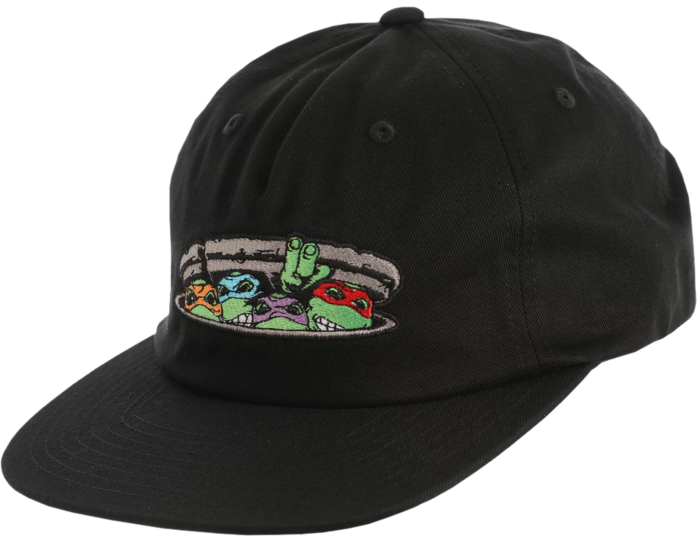 santa cruz teenage mutant ninja turtles hoodie