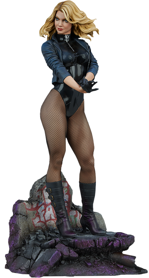 DC DIRECT BLACK CANARY STATUE No.356 - アメコミ