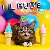 Lil Bub - 2015 Wall Calendar
