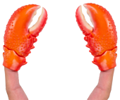 Archie McPhee - Finger Claws (Set of 2)