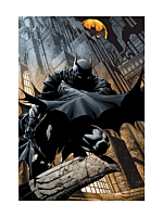Batman - Batman #700 Fine Art Print by David Finch