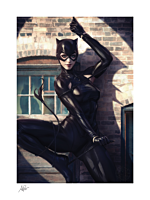 Batman - Catwoman #1 Fine Art Print by Stanley "Artgerm" Lau