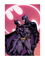 Batman - The Bat and the Cat Fine Art Print by David Finch