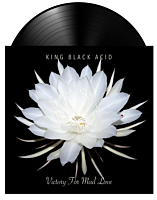 King Black Acid - Victory for Mad Love LP Vinyl Record (2024 Record Store Day Exclusive)