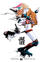 DC Comics - DC Poster Portfolio: Jae Lee Paperback Book