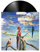 Alex G - God Save the Animals LP Vinyl Record