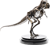 Jurassic Park - T-Rex Skeleton Bronze 1/24th Scale Maquette Statue