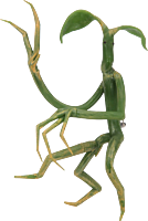Fantastic Beasts and Where to Find Them - Pickett Bowtruckle Pin Pendant