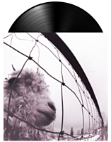 Pearl Jam - Vs. (Remastered) LP Vinyl Record