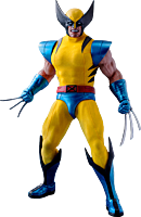 X-Men - Wolverine 1/6th Scale Hot Toys Action Figure