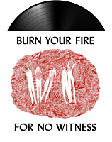 Angel Olsen - Burn Your Fire For No Witness LP Vinyl Record