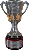 AFL Football - 2007 Geelong Premiership Trophy 8” Pewter Replica