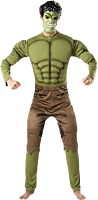 Hulk - Hulk Adult Costume
