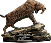 Wonders of the Wild - Smilodon 11" Statue