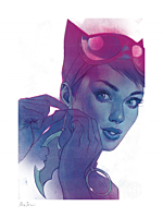 Batman - Catwoman #7 Fine Art Print by Ben Oliver
