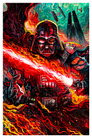 Star Wars - Darth Vader: Dark Lord’s Fury Fine Art Print by Vincenzo Riccardi