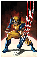 Wolverine - Wolverine #37 (2023) Variant Cover Fine Art Print by Kael Ngu