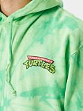 Tmnt santa cruz on sale hoodie
